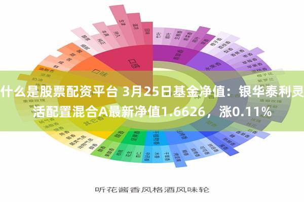 什么是股票配资平台 3月25日基金净值：银华泰利灵活配置混合A最新净值1.6626，涨0.11%