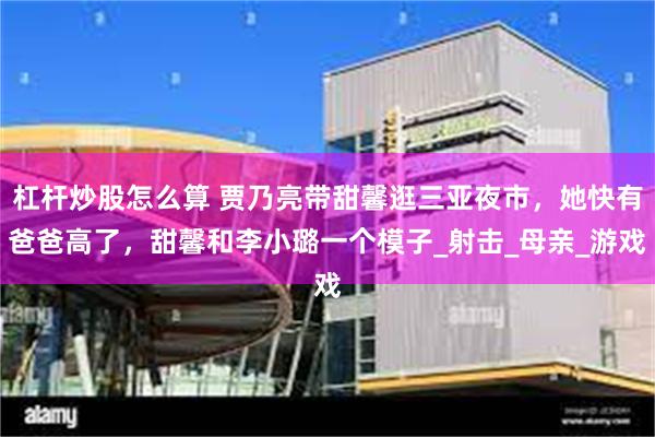杠杆炒股怎么算 贾乃亮带甜馨逛三亚夜市，她快有爸爸高了，甜馨和李小璐一个模子_射击_母亲_游戏