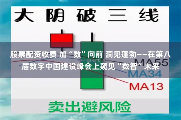 股票配资收费 加“数”向前 洞见蓬勃——在第八届数字中国建设峰会上窥见“数智”未来