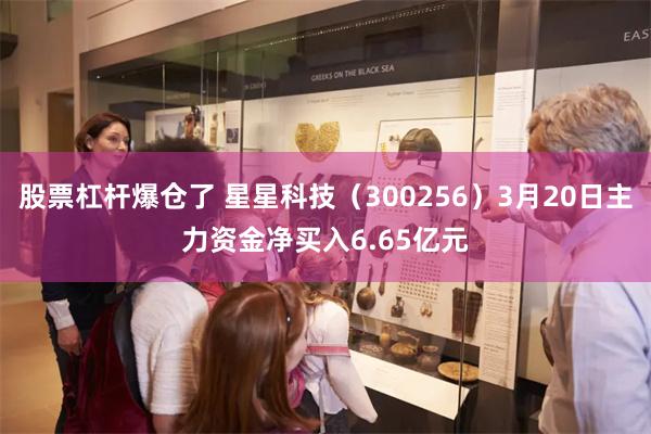 股票杠杆爆仓了 星星科技（300256）3月20日主力资金净买入6.65亿元