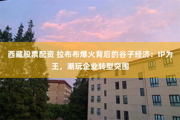 西藏股票配资 拉布布爆火背后的谷子经济：IP为王，潮玩企业转型突围