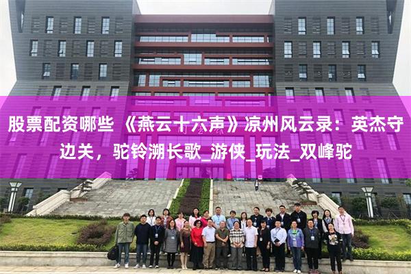 股票配资哪些 《燕云十六声》凉州风云录：英杰守边关，驼铃溯长歌_游侠_玩法_双峰驼
