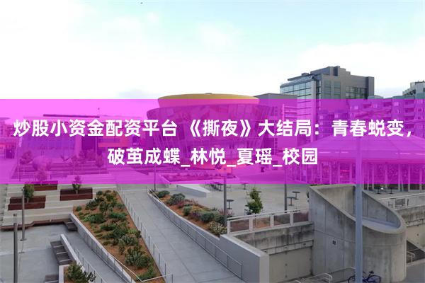 炒股小资金配资平台 《撕夜》大结局：青春蜕变，破茧成蝶_林悦_夏瑶_校园