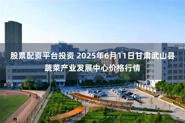 股票配资平台投资 2025年6月11日甘肃武山县蔬菜产业发展中心价格行情