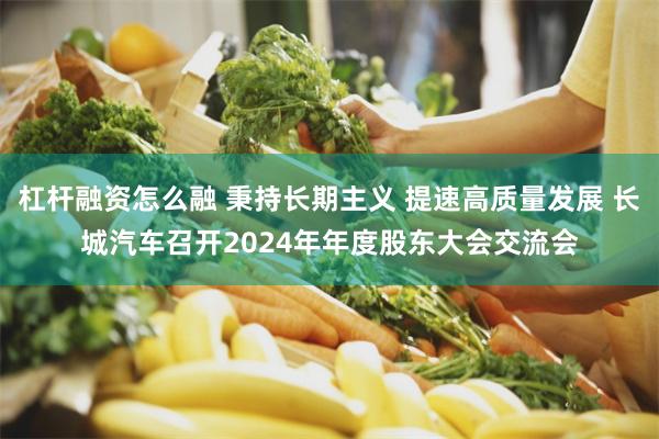 杠杆融资怎么融 秉持长期主义 提速高质量发展 长城汽车召开2024年年度股东大会交流会