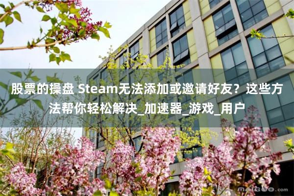 股票的操盘 Steam无法添加或邀请好友？这些方法帮你轻松解决_加速器_游戏_用户