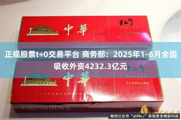 正规股票t+0交易平台 商务部：2025年1-6月全国吸收外资4232.3亿元