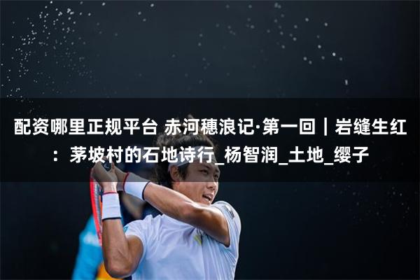配资哪里正规平台 赤河穗浪记·第一回｜岩缝生红：茅坡村的石地诗行_杨智润_土地_缨子