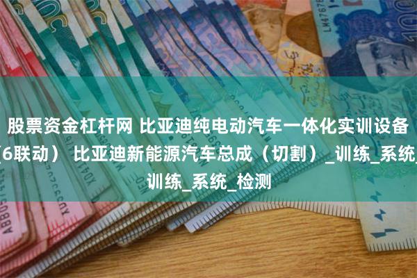 股票资金杠杆网 比亚迪纯电动汽车一体化实训设备方案(6联动） 比亚迪新能源汽车总成（切割）_训练_系统_检测