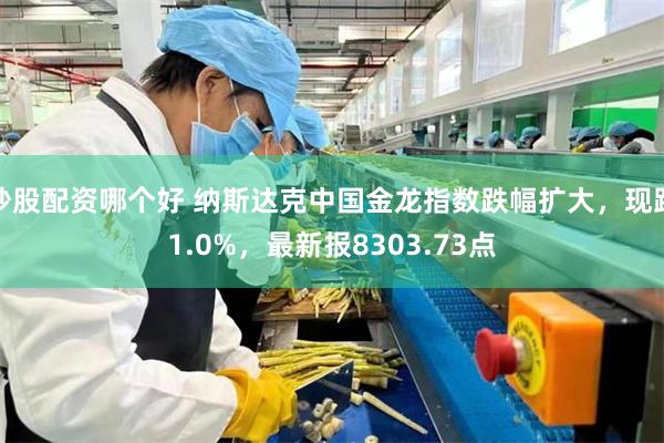 炒股配资哪个好 纳斯达克中国金龙指数跌幅扩大,现跌1.0%,最新报8303.73点